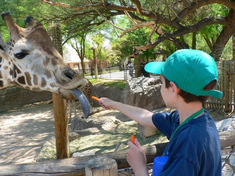 El Zoológico Reid Park de Tucson