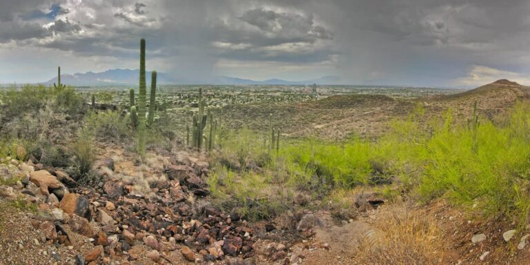 Colina Tumamoc – Vive el Senderismo en Tucson