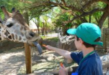 El Zoológico Reid Park de Tucson