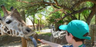 El Zoológico Reid Park de Tucson