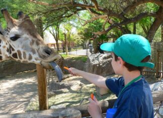 El Zoológico Reid Park de Tucson