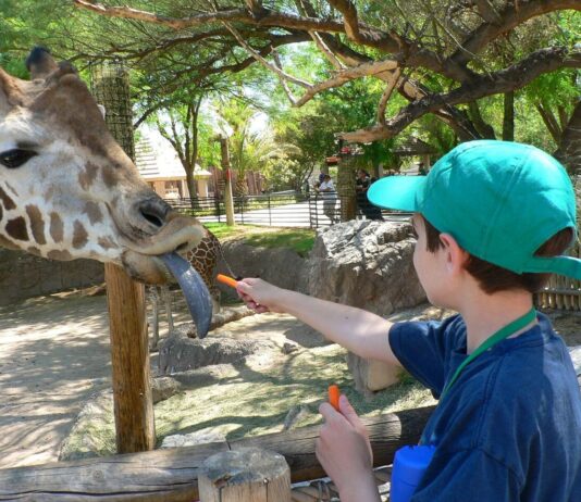 El Zoológico Reid Park de Tucson