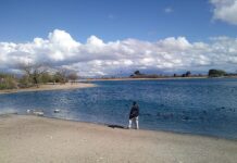 Conoce El Lago Kennedy en Tucson