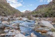 Top 5 de Senderismo en Tucson
