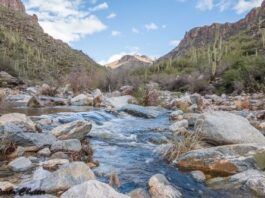 Top 5 de Senderismo en Tucson