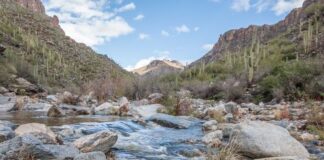 Top 5 de Senderismo en Tucson