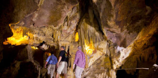 Colossal Cave Mountain Park en Tucson