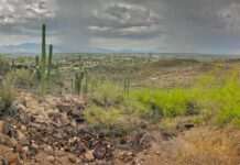 Colina Tumamoc – Vive el Senderismo en Tucson