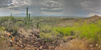 Colina Tumamoc – Vive el Senderismo en Tucson