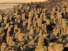 Chiricahua National Monument: El Maravilloso Mundo de las Rocas Chiricahua