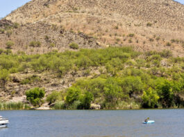 Patagonia Lake: Un Tesoro Natural en Arizona