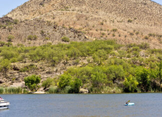 Patagonia Lake: Un Tesoro Natural en Arizona