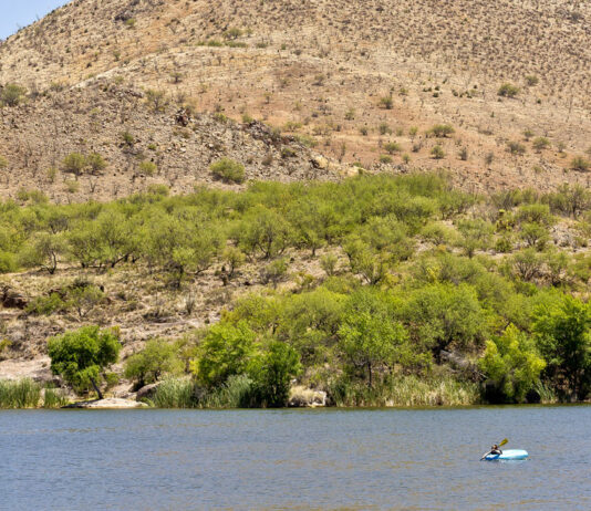 Patagonia Lake: Un Tesoro Natural en Arizona