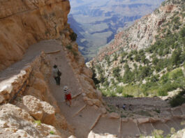 Conoce El Arizona National Scenic Trail Arizona National Escenic Trial