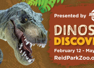 Dinosaur Discovery en el Reid Park Zoo Dinosaur Discovery