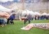 Willcox: El Grandioso Festival de Vinos